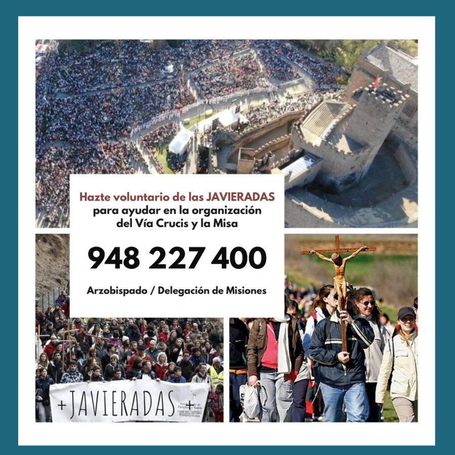 voluntario javierada redes